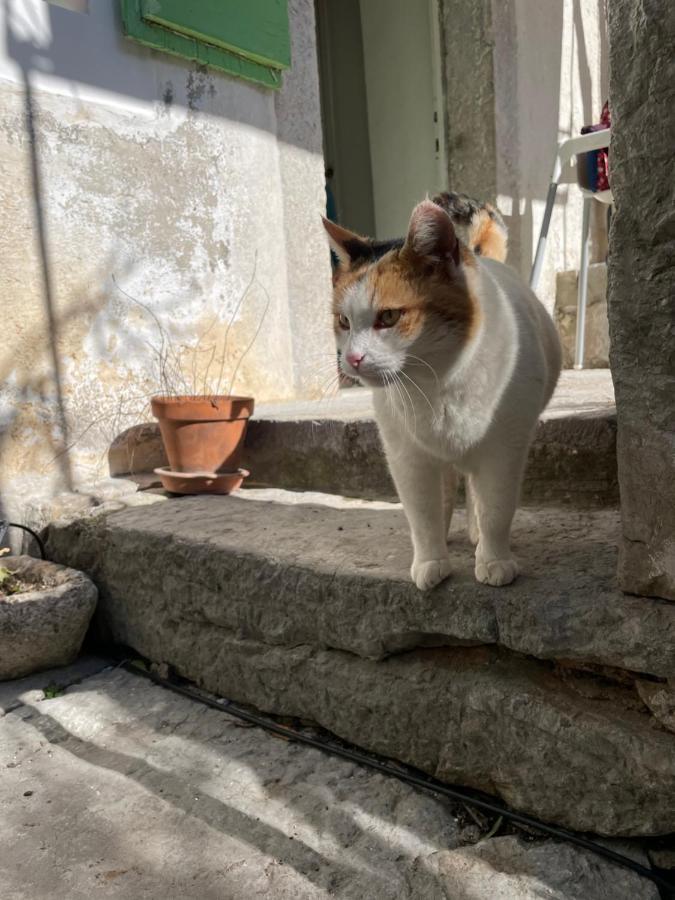 Maja Stone House Villa Kornic Bagian luar foto